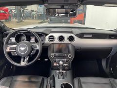 Fahrzeugabbildung Ford Mustang GT 5.0 V8 Auto Navi Leder Kamera dt. Fzg