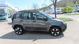 Fiat Panda City Cross 1,0 MHD + Sitz+WSS Heizung - gebrauchte Fiat Panda aus dem Jahr 2021