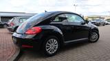 Volkswagen Beetle Lim.-2xPDC-Navi-L&S-GRA - Volkswagen Beetle Gebrauchtwagen