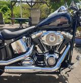 Harley-Davidson Softail Custom, Thunderbike-Umbau - Harley-Davidson Motorräder in Saarbrücken