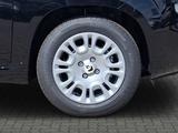 Fiat Panda MY25 1.0*Klima|Tempomat|Bluetooth|PDC* - Fiat Panda Tageszulassungen mit Benzin-Antrieb