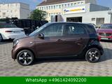 Smart ForFour forfour Basis PANO|SHZ|NAVI - Smart ForFour in Wiesbaden