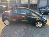 Mitsubishi Colt CZC Cabrio 1.5 Leder Klima - Mitsubishi: Cabrio