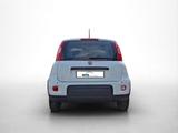 Fiat Panda Hybrid *70PS*DAB*Klima*PDC - Fiat Panda Vorführfahrzeuge