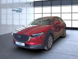 Mazda CX-30 Selection 2WD Bluetooth Head Up Display - rote Mazda CX-30