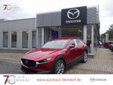 Mazda CX-30 Exclusive-Line 186 Automatik 2025|Navi|Mat - Mazda CX-30 mit Benzin-Antrieb: Exclusive Line