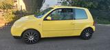 Volkswagen Lupo 1.0 COMFORTLINE Comfortline - Volkswagen Lupo Comfortline mit Benzin-Antrieb