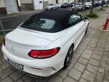 Mercedes-Benz Mercedes C 220d Cabrio AMG Line  Perlmutt Weiß  - Mercedes-Benz: Cabrio, W
