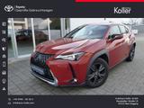 Lexus UX 200 Launch Edition Navi LED SHZ Kamera Tempom - Lexus: L