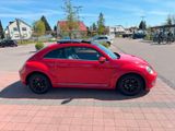 Volkswagen Beetle mit Panoramadach - Volkswagen Käfer: Limousine
