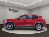 Cupra Formentor 1.5 TSI 7-Gang-DSG Basis - rote Cupra Formentor
