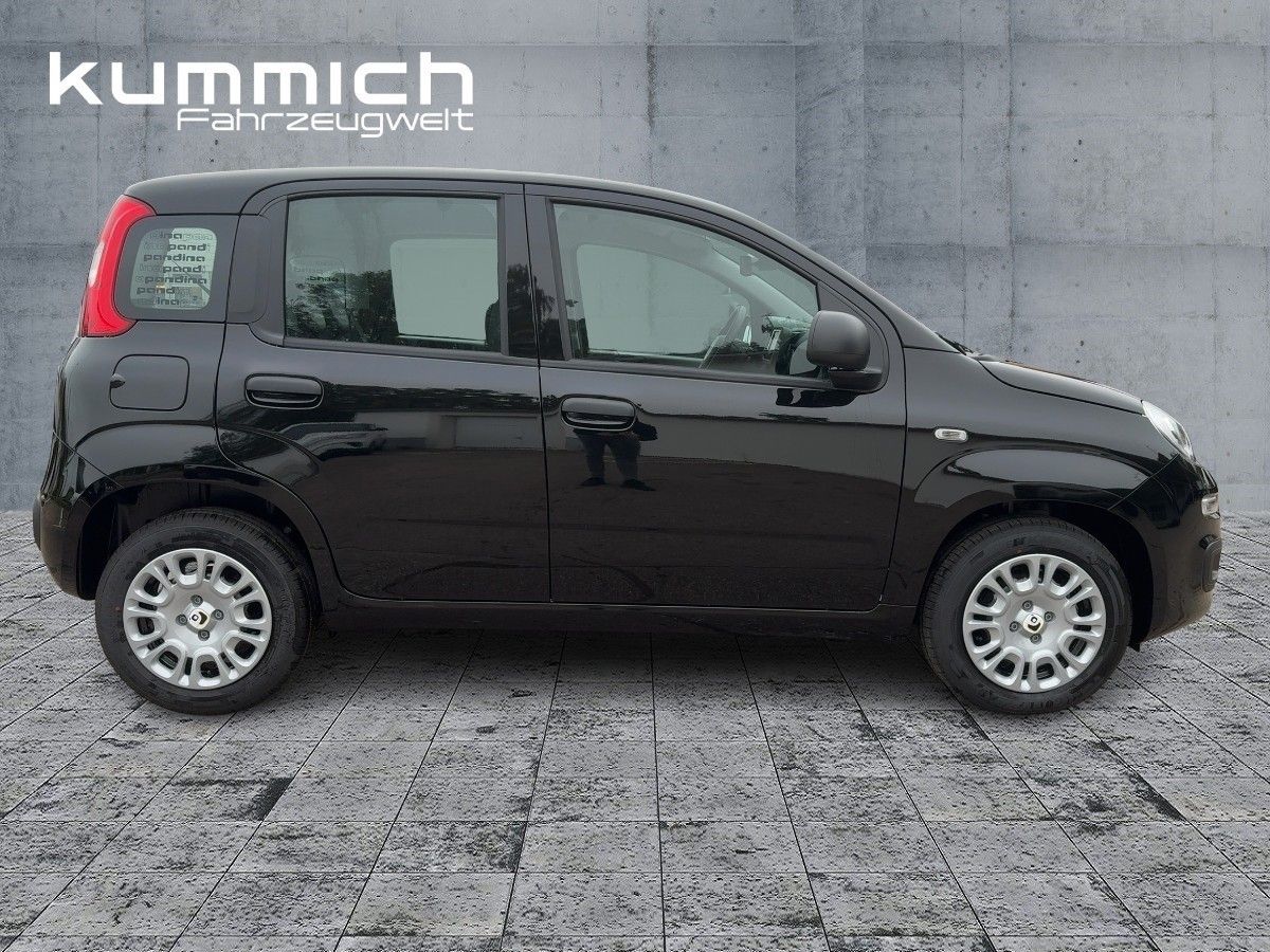Fiat Panda MY25 Pandina ICON Hybrid 1.0 GSE 51kw 70PS imagem 3
