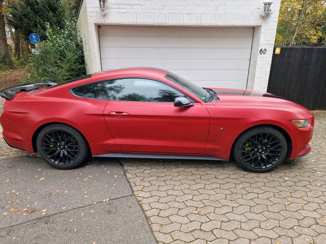 Ford Mustang matt rot