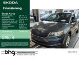 Skoda Karoq 1.0 TSI Ambition - Skoda Gebrauchtwagen in Reutlingen