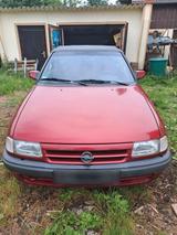 Opel Astra F Caprio - Opel aus 1994