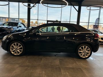 MYAUTOCENTER – Gebraucht- und Jahreswagen mit Werkstattservice in Pfaffenhofen Volkswagen Golf VI Cabriolet 1.6 TDI *XENON*LEDER*PDC*LED*