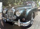 Jaguar Daimler V8 - Jaguar Daimler mit Benzin-Antrieb