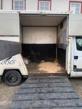 Renault Master Pferdetransporter 2 pferde 3.5 tonn - Tier-/Pferdetransport 3 pferde