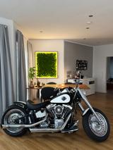 Harley-Davidson FLSTF 103 Fat Boy klappen Auspuff  - Offers
