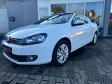 Volkswagen Golf VI Cabriolet Life/KLIMAUT./SHZ/TEMP./PDC - Roadster bis 10.000 Euro