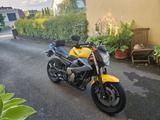 Yamaha XJ6N Nakedbike ABS Top Zustand - YAMAHA GELB ABS