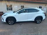 Lexus NX 300 F-SPORT*FACELIFT*STANDHZG*HUD*VOLL* - Lexus: Nx