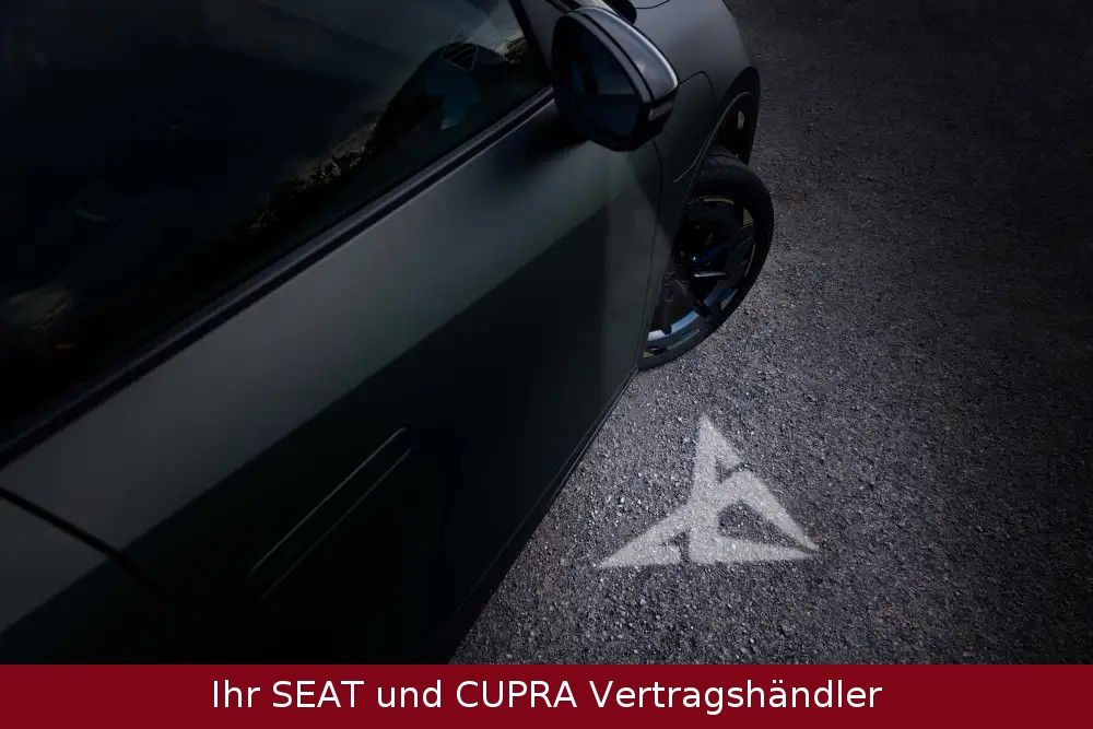 Cupra Raval - Bild 10