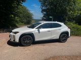 Lexus UX 250h E-FOUR Executive Line  - Lexus aus 2021