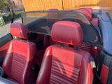 Opel Astra Cabrio Endless Summer 1.9 CDTI ... - Opel Astra: Endless Summer