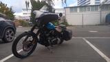 Harley-Davidson Softail Blackline FXS Modell 2011 - HARLEY-DAVIDSON SOFTAIL