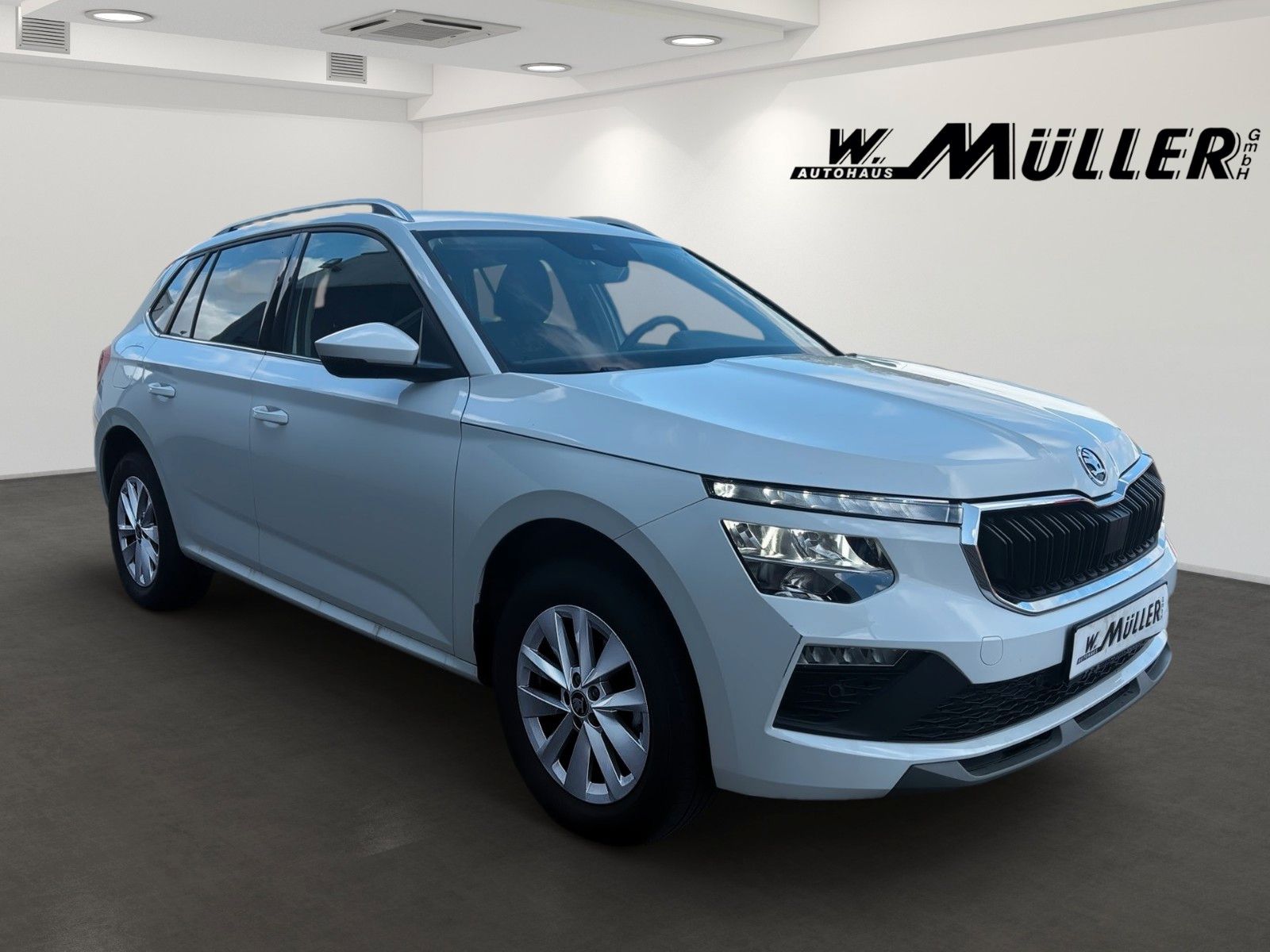 Fahrzeugabbildung SKODA Kamiq Selection