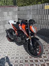 KTM DUKE 125 - KTM 125
