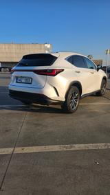 Lexus NX 350h Business Edition  - Lexus aus 2023