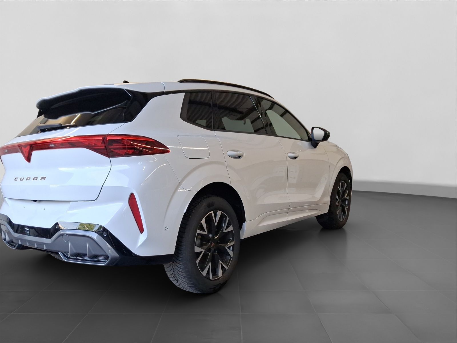 Cupra Terramar - Bild 4