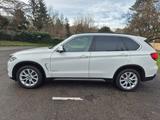 BMW X5 xDrive30d - Top gepflegt - BMW X5: Weiß