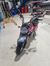 Honda Monkey Z125MA , nur 355 km, Neuzustand, 1. Hand - HONDA MONKEY