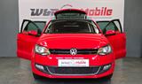 Volkswagen POLO 6R 1.2 TSI *4-ZYL/PANO/SHZ/PDC/SCHECK/TÜV - Volkswagen Polo: 1.4