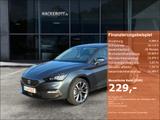 Seat Leon Road Edition 1.5 eTSI 150 PS 7-Gang-DSG Kes - Seat Leon: Road Edition