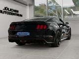 Ford Mustang GT 5.0 Grail H-Pipe, Sehr gepflegt - Ford Mustang Gebrauchtwagen