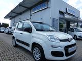 Fiat Panda Easy 1.2 KLIMA/1.Hand/Servo/Euro6 - gebrauchte Fiat Panda aus dem Jahr 2020