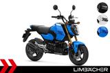 Honda MSX 125 GROM 2025 - HONDA STUTTGART