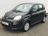 Fiat Panda 1.0 GSE Hybrid 2024 Sitzheizung Fahrerseit - Fiat Panda Gebrauchtwagen in Aachen