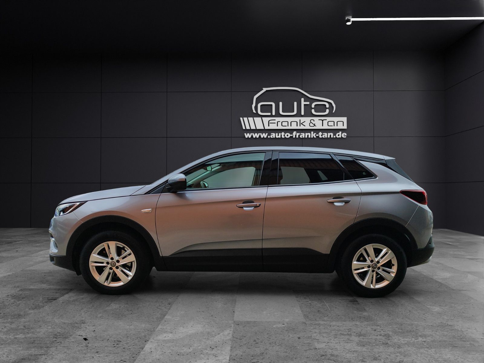 Fahrzeugabbildung Opel Grandland (X)/Navi/360gKamera/Shz/1.Hand