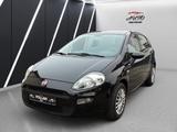 Fiat Punto Evo Klima 1.2 Tüv Neu - Fiat Punto: Kleinwagen