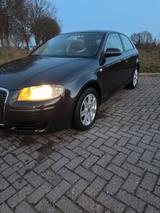 Audi A3 2.0 Tdi 170 Ps - Audi A3: 170