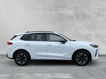 Cupra Terramar - 6