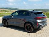 Cupra Terramar VZ 2.0 TSI DSG+STANDHEIZUNG+AHK+PANO - Cupra Terramar mit Benzin-Antrieb: mit Navigationssystem, mit Klimaanlage