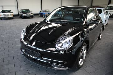 Fotografie des GWM Ora 03