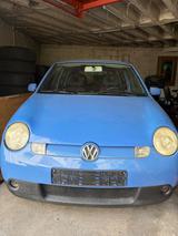 Volkswagen Lupo 3L TDI aus 1 Hand TÜV NEU & Scheckheft - Volkswagen Lupo: 3l