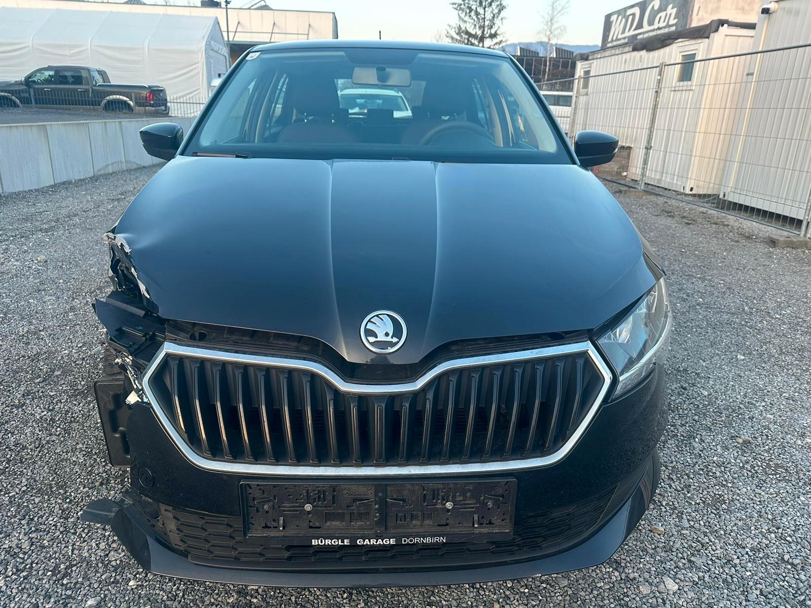 Skoda Fabia Active-Shz-Klima-1 Hand